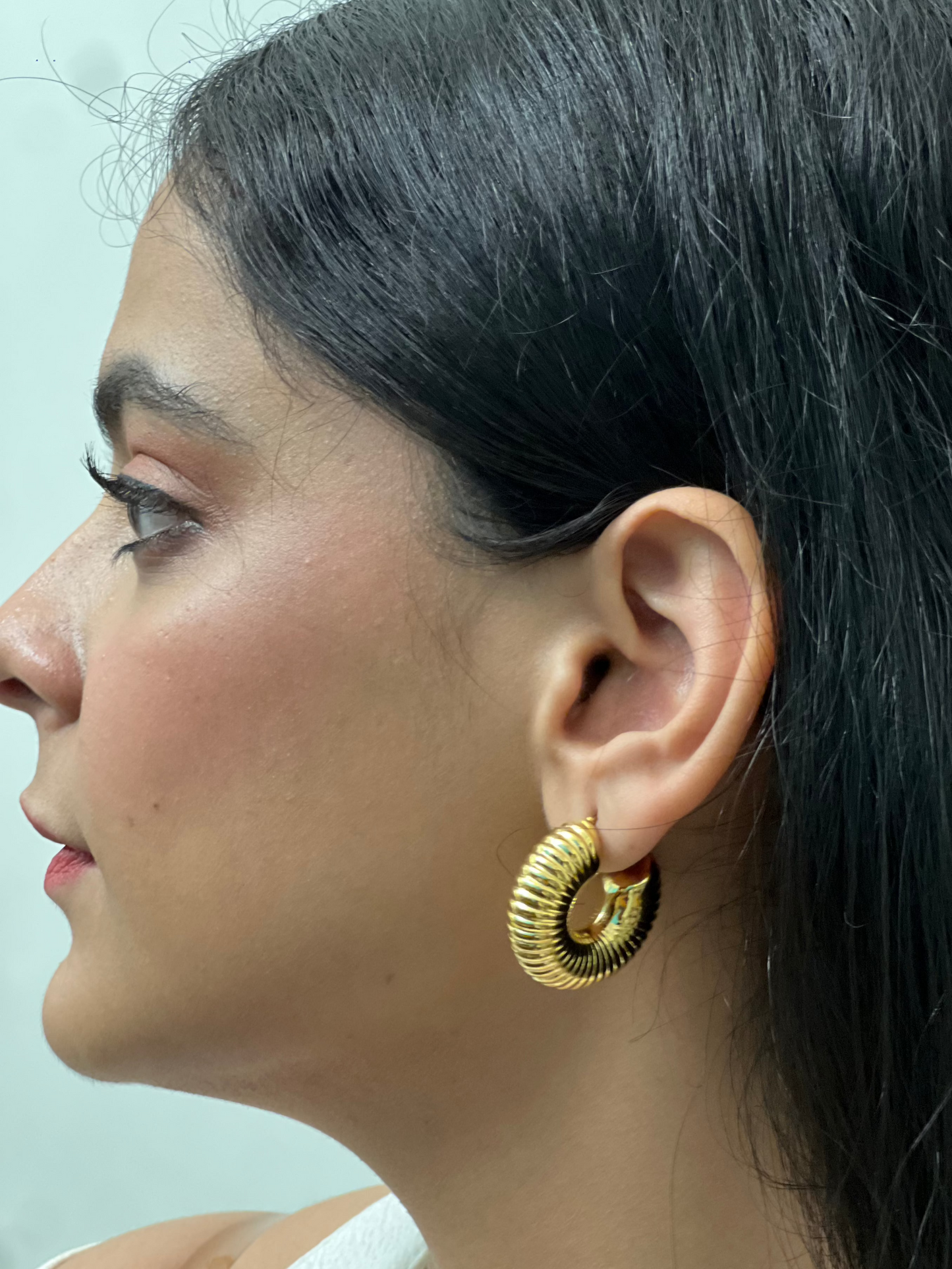 Twirled Elegant Hoops