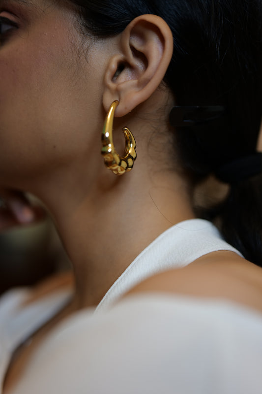 Tiana's Twirled Hoops
