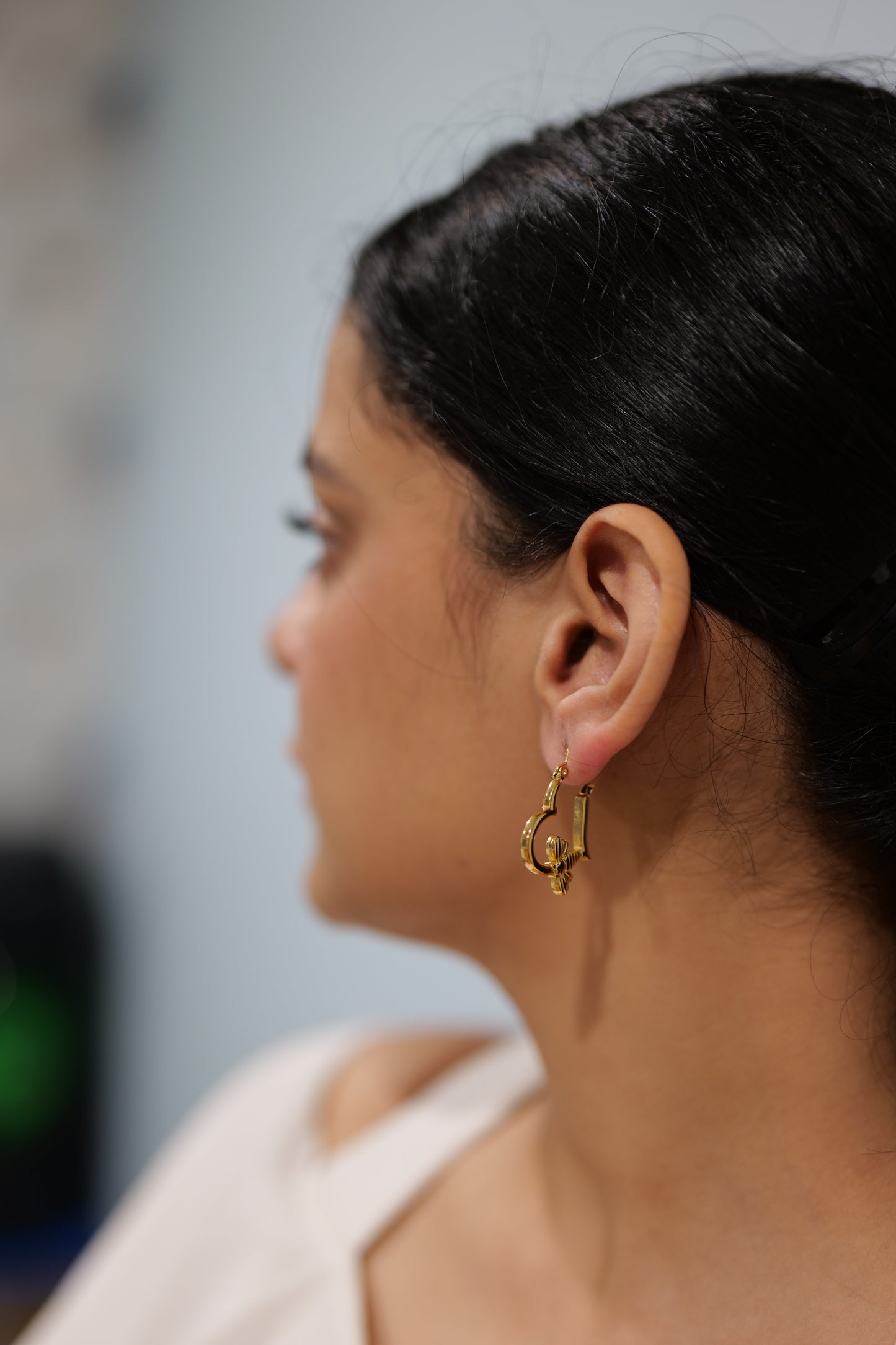 Echo of Love Hoops